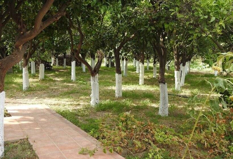 فندق Mouzaliko Guesthouse Mansion