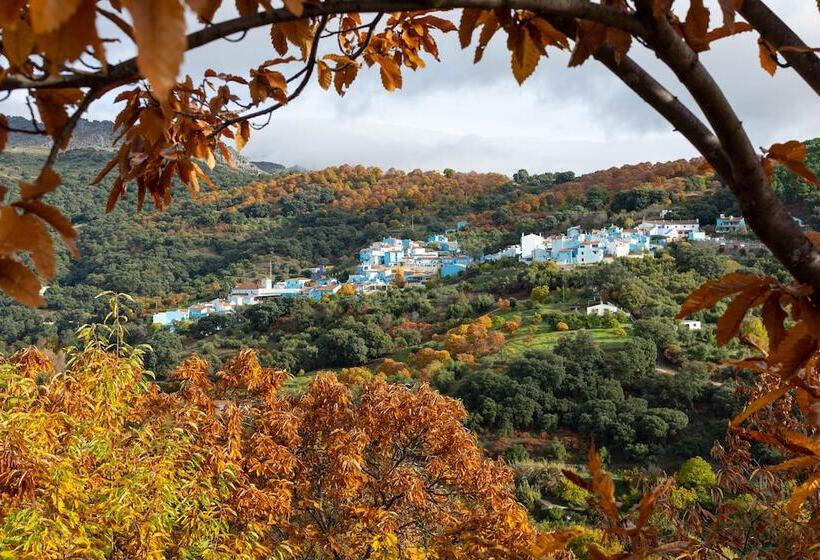 리조트 Secret Garden Retreats