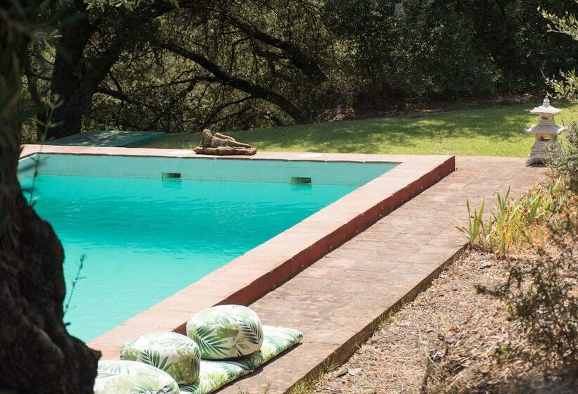 리조트 Secret Garden Retreats