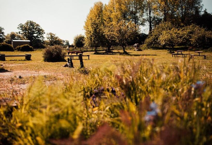 Gaggle Of Geese Pub   Shepherd Huts & Bell Tents
