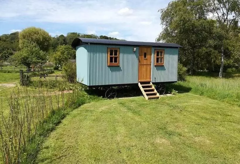 Gaggle Of Geese Pub   Shepherd Huts & Bell Tents
