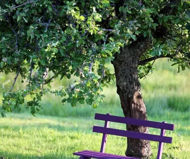 Gaggle Of Geese Pub   Shepherd Huts & Bell Tents