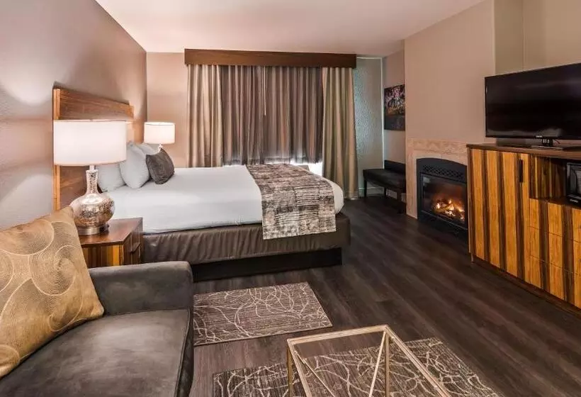 酒店 Best Western Cedar Inn & Suites