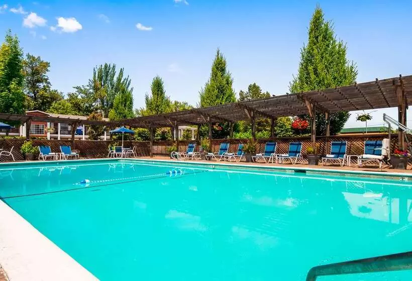 酒店 Best Western Horizon Inn