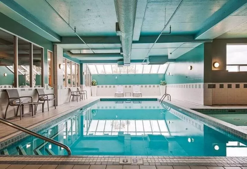 Hotel Best Western Plus Calgary Centre Inn