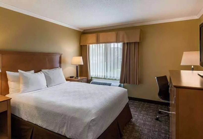 فندق Best Western Plus Windjammer Inn & Conference Center