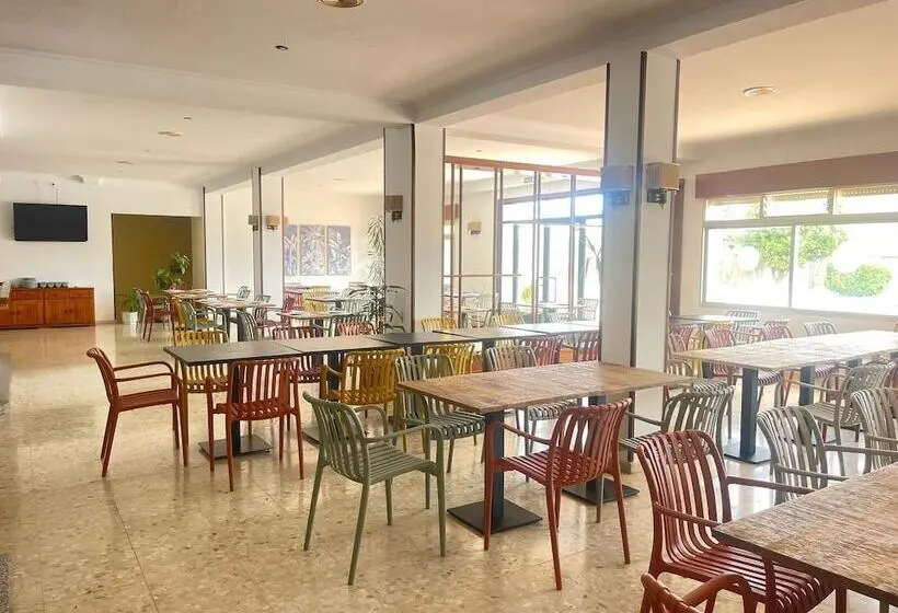 ホテル Bluesea Costa Norte