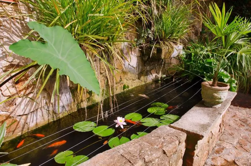 Hotel Ght Neptuno Tossa & Venus Spa