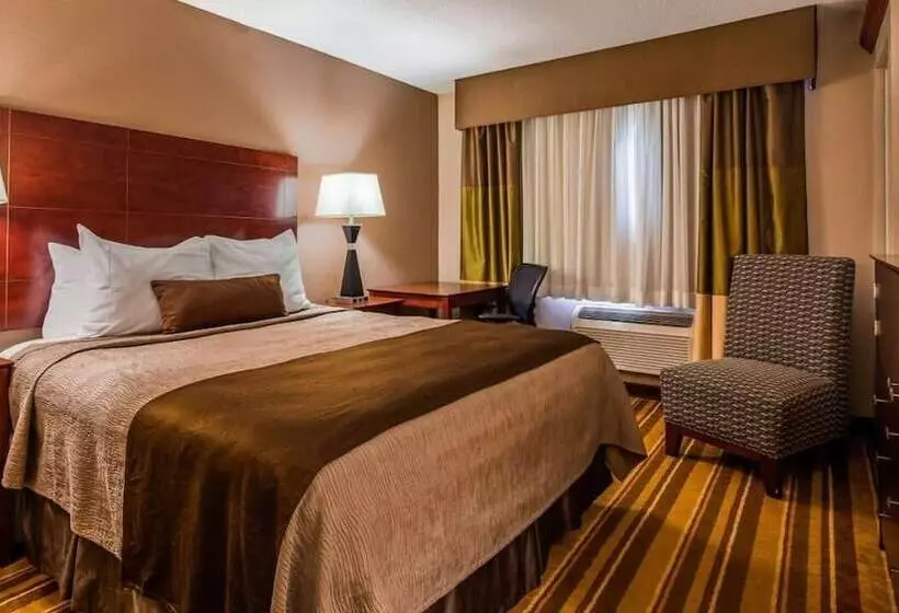 ホテル Old Mill Inn