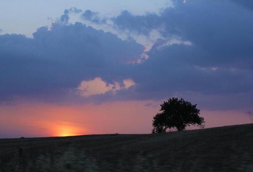 Отель Pateo Dos Solares Charm