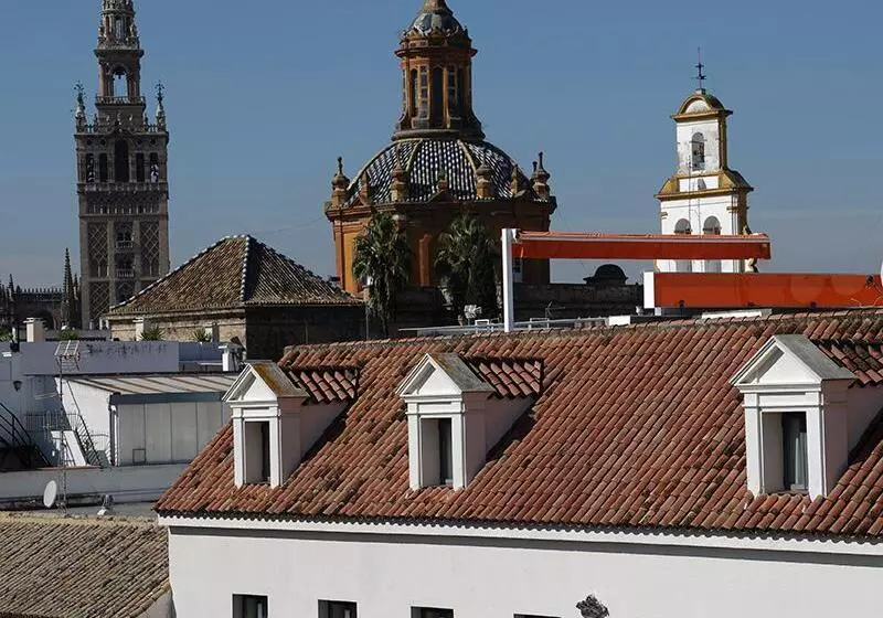 هتل Rey Alfonso X