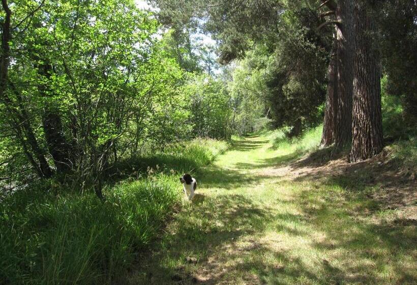 乡村酒店  Dalrachney Lodge