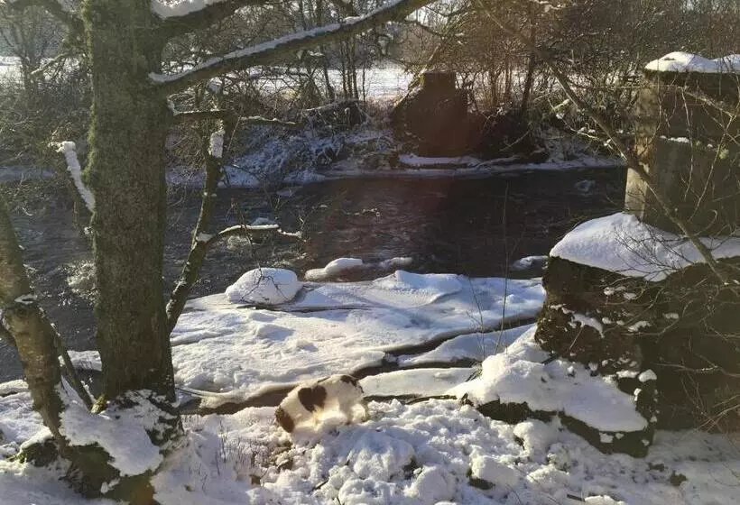 Сельский отель Dalrachney Lodge