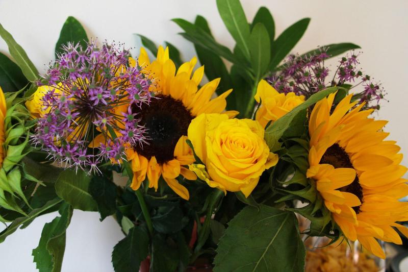 Bed and Breakfast Fernydale Farm