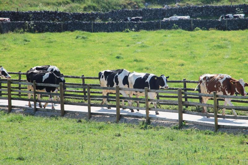 Bed and Breakfast Fernydale Farm