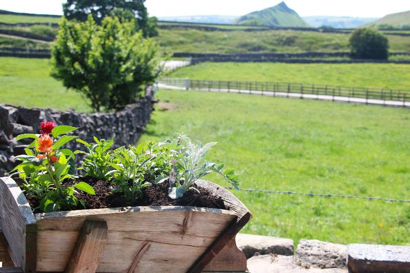 Bed and Breakfast Fernydale Farm