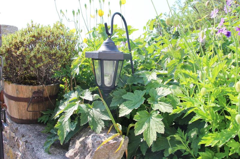 Bed and Breakfast Fernydale Farm