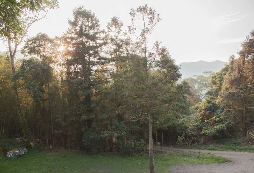 تختخواب و صبحانه Xitou Star Homestay