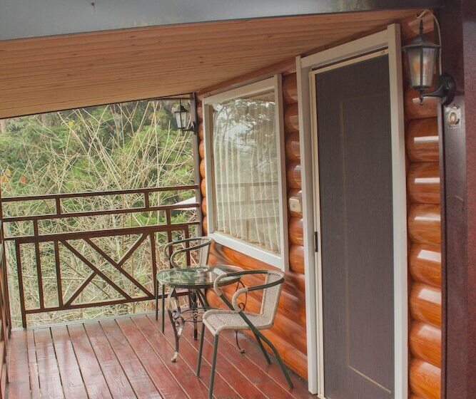 تختخواب و صبحانه Xitou Star Homestay