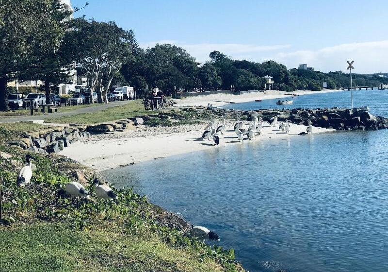 ペンション Xyl Pets Friendly Seaside Boutique Guesthouse