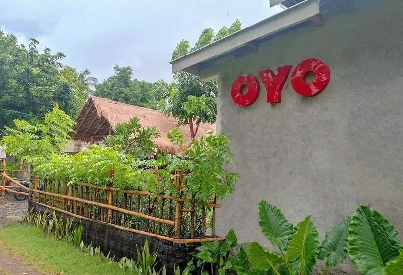 ユースホステル Sammy Homestay By Oyo Rooms