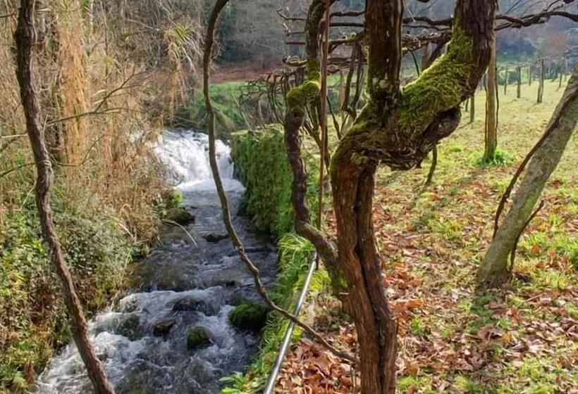 田舎風ホテル Casa Da Cevidade
