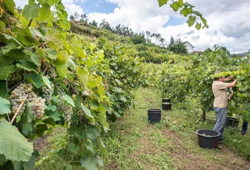 田舎風ホテル Casa Da Cevidade