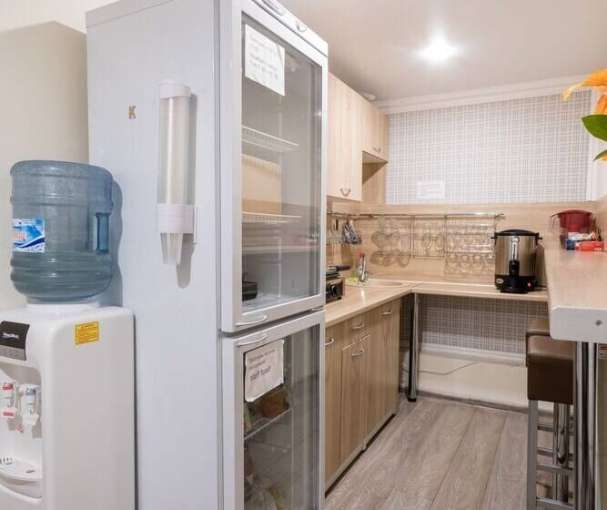 هتل Begemot Mayakovskaya