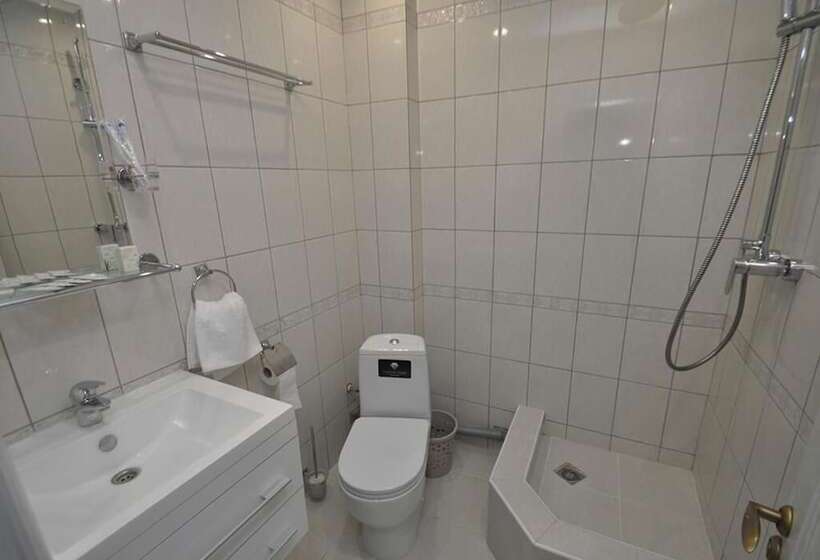 هتل Begemot Mayakovskaya