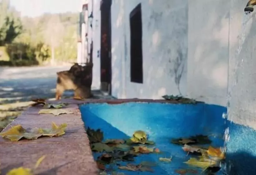 ホテル Camping La Fundición