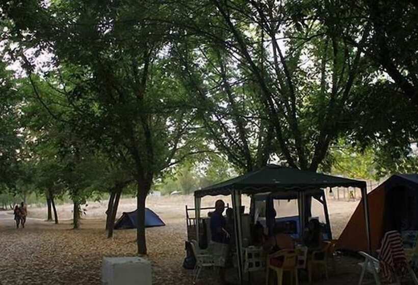 酒店 Camping La Fundición