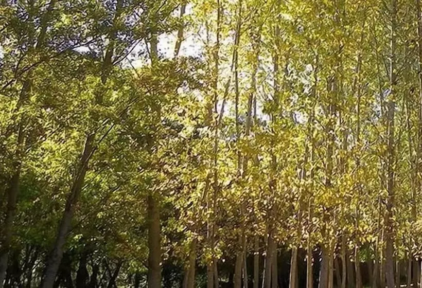 ホテル Camping La Fundición