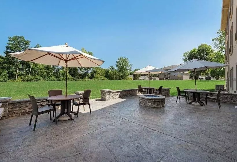 Cobblestone Hotel & Suites   Urbana