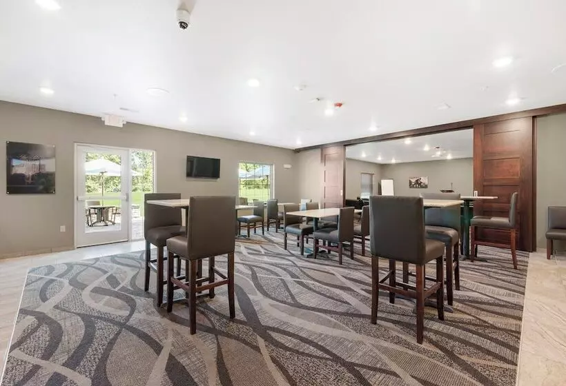 Cobblestone Hotel & Suites   Urbana