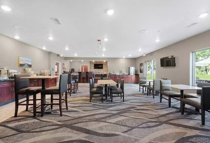 Cobblestone Hotel & Suites   Urbana