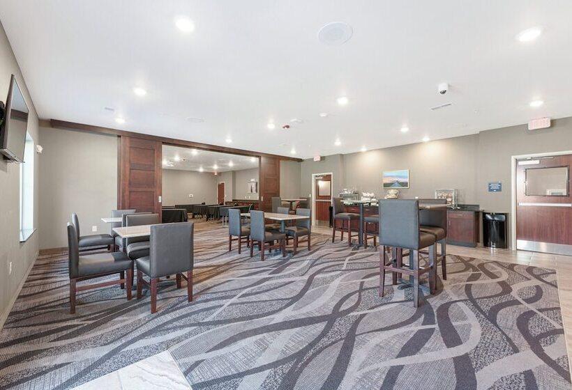 Cobblestone Hotel & Suites   Urbana