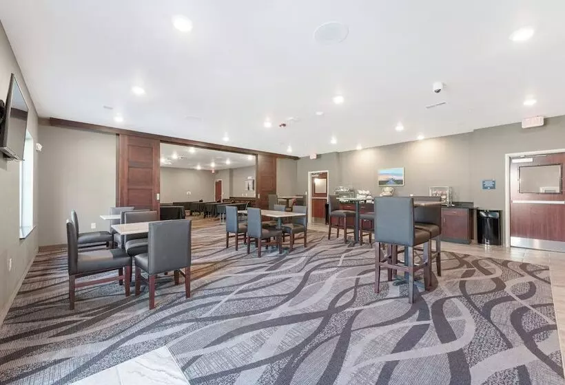 Cobblestone Hotel & Suites   Urbana