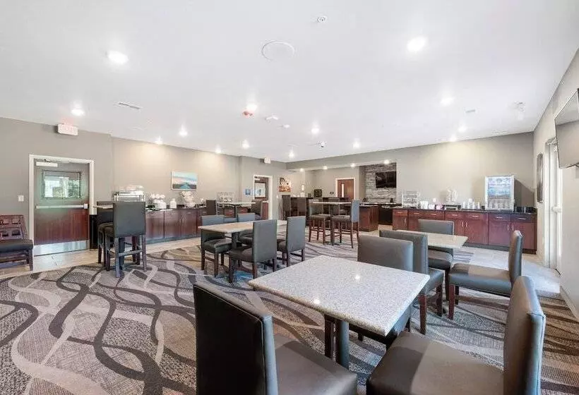 Cobblestone Hotel & Suites   Urbana