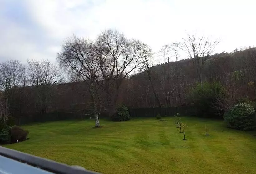 Woodlands B&b