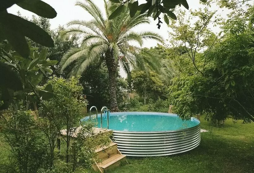 Hotelli Lovemore Lodges Knysna