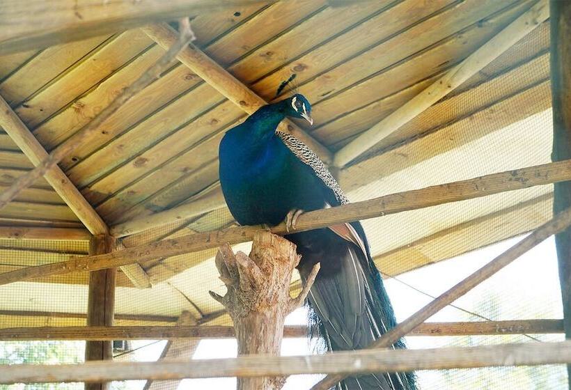 乡村酒店  Quinta Dos Moinhos