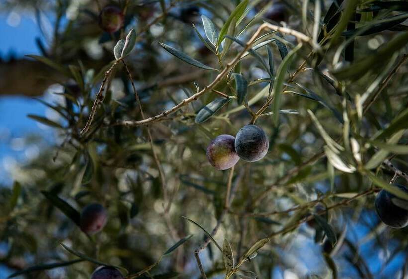 B&b Casa Arena Sevilla