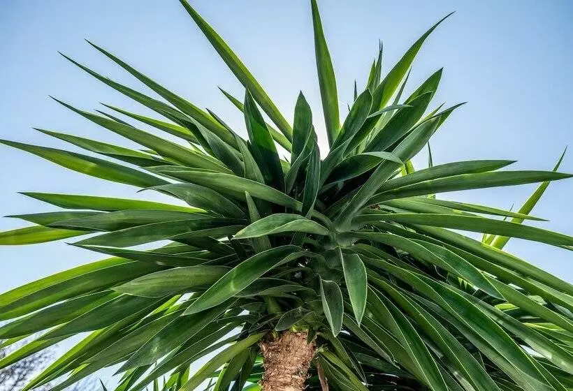 B&b Casa Arena Sevilla