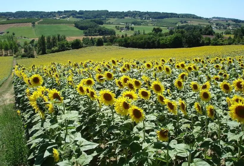 ペンション La Maison De Maitre