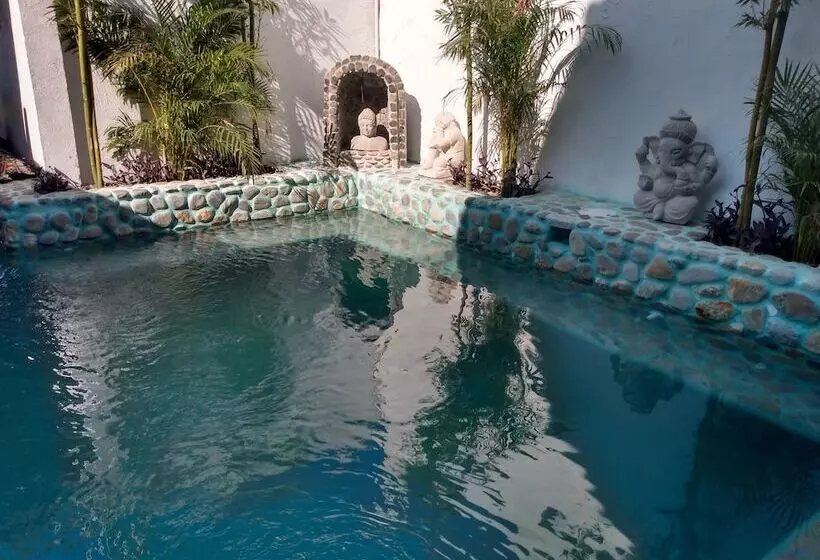 Hotelli Posada Buda Tortuga