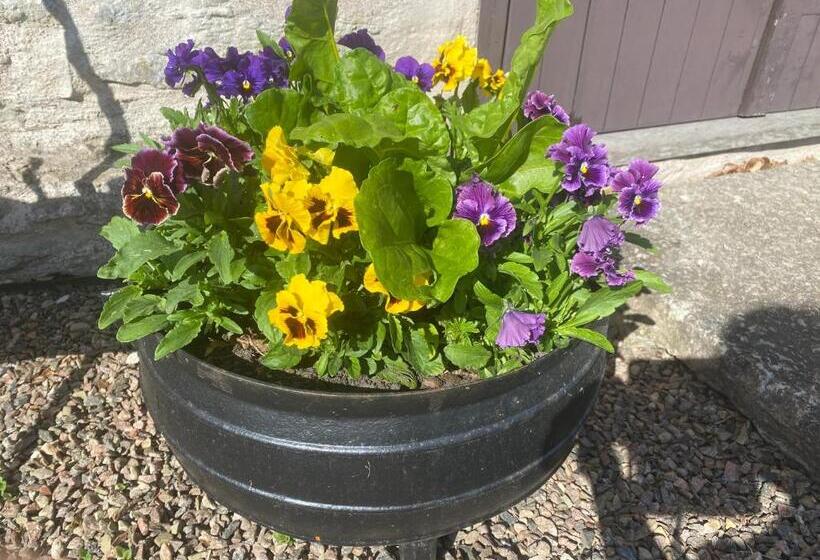 Bed and Breakfast Stenbrottets Smedja