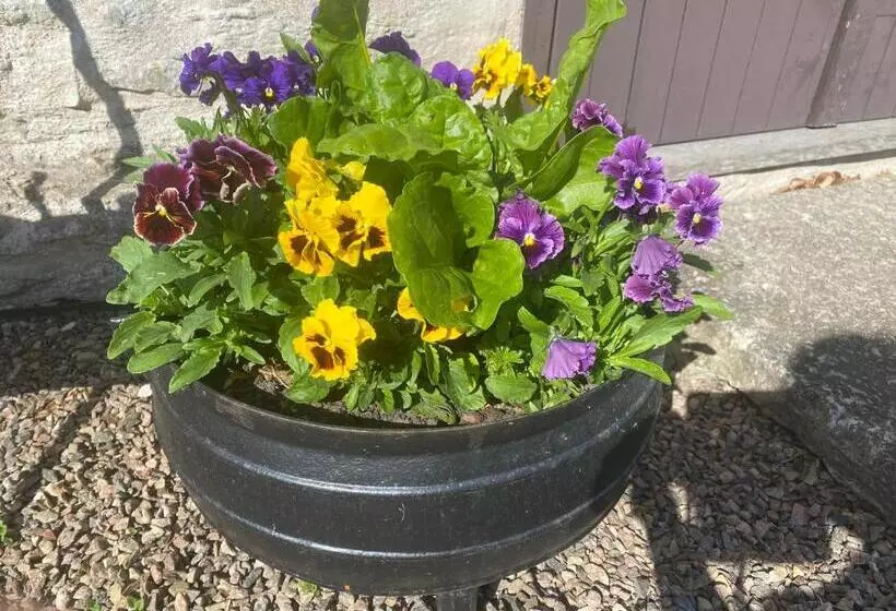 تختخواب و صبحانه Stenbrottets Smedja