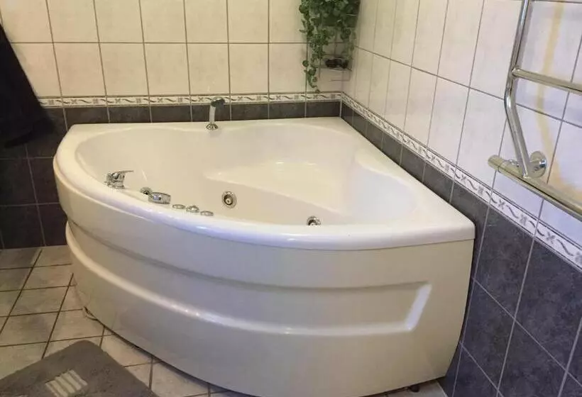 تختخواب و صبحانه Stenbrottets Smedja