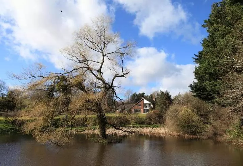 Cwmbach Lodge Luxury B&b