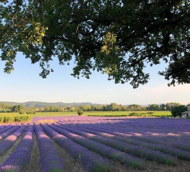 膳宿费 La Petite Plaine